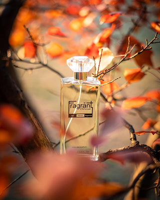 DVT - A scent similar to Devotion Dolce & Gabbana