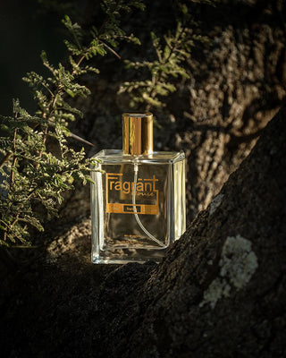 LOV - A scent similar to Lovers Louis Vuitton