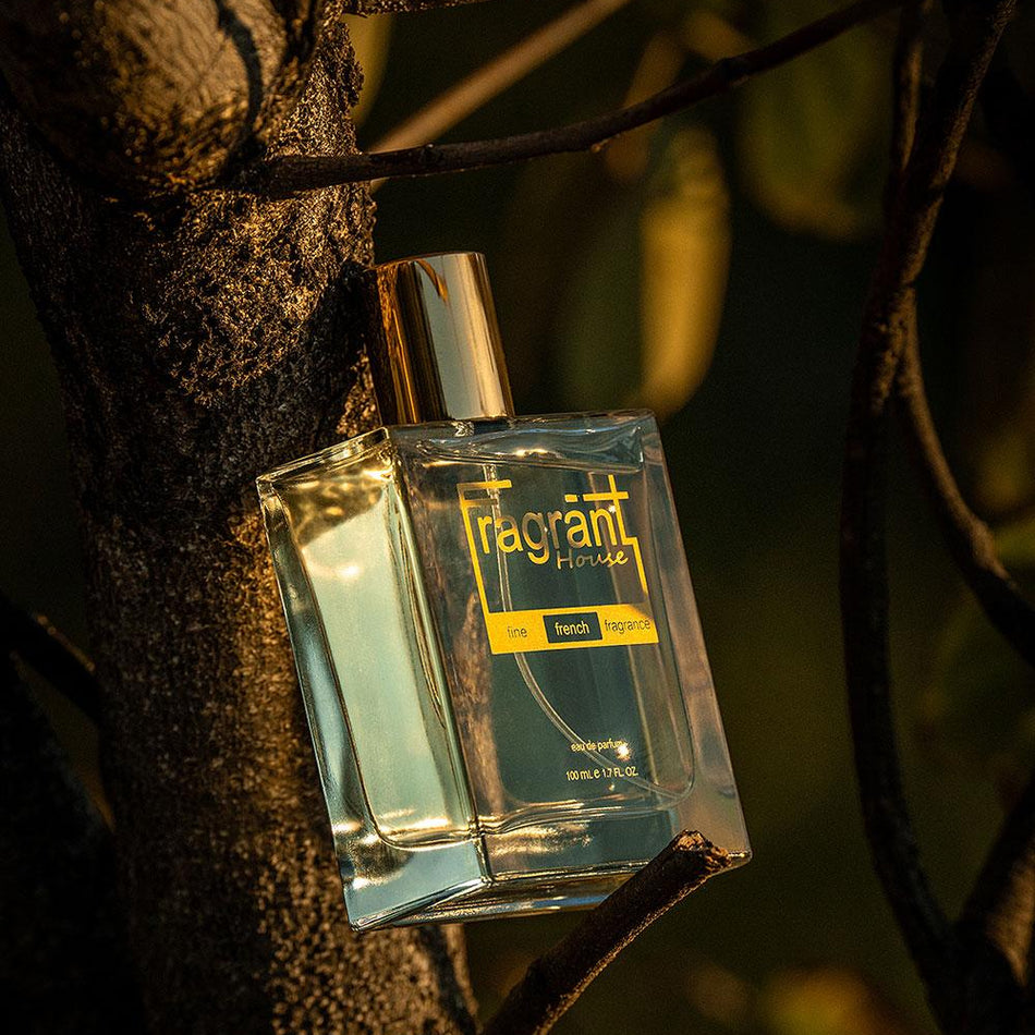 Become a Franchisee – Fragrant House Perfumes South Africa