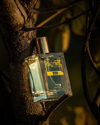 OLV - A scent similarr to Ombre Nomade Louis Vuitton