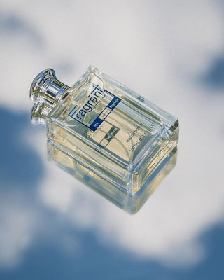 SE- A scent similar to Sauvage Elixer Christian Dior