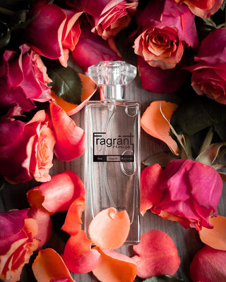 CEN - A scent similar to Cé Noir Beyoncé