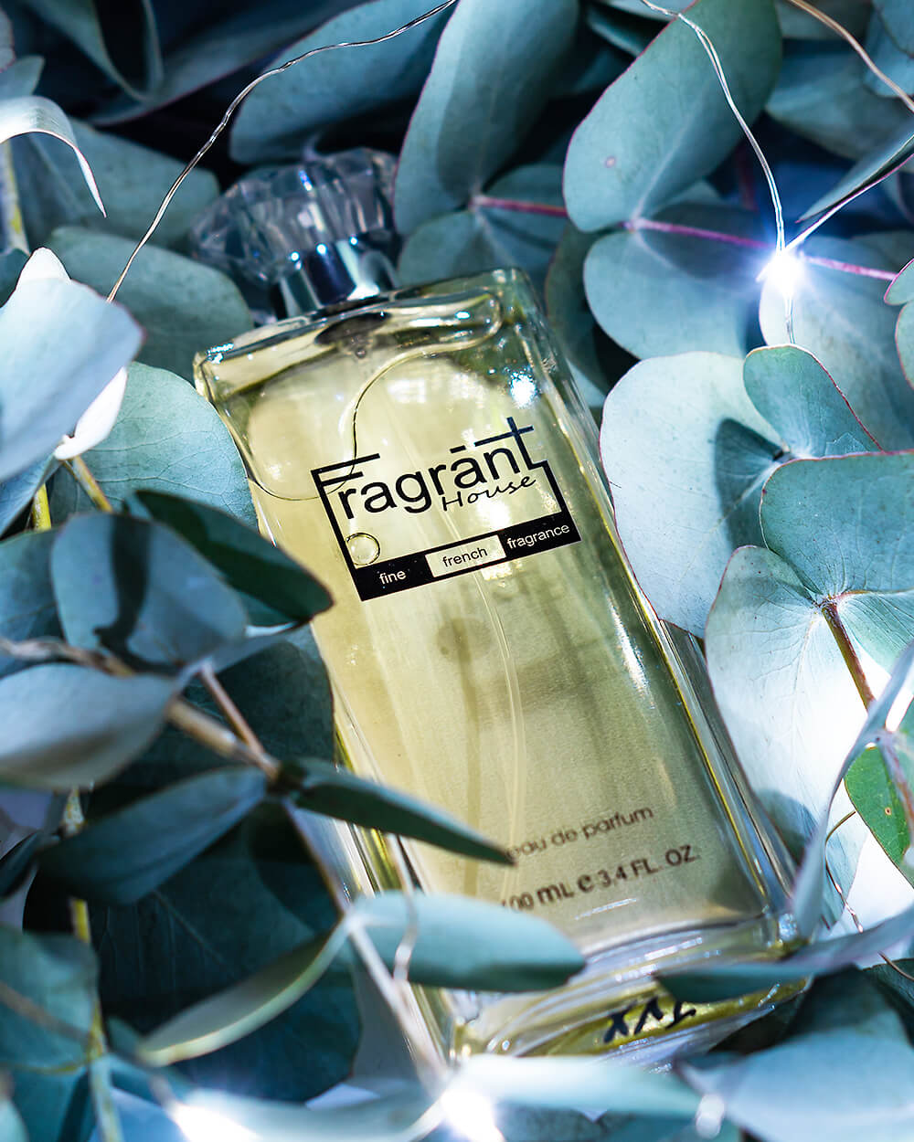 OC – Fragrant House Perfumes South Africa