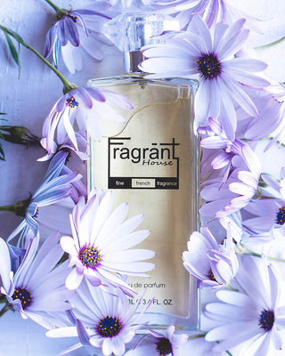 POU - A scent similar to Poudree by Narciso Rodriguez