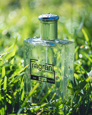 CW - A scent similar to Cool Water Davidhoff