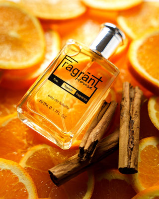 KI - A scent similar to K Dolce & Gabbana